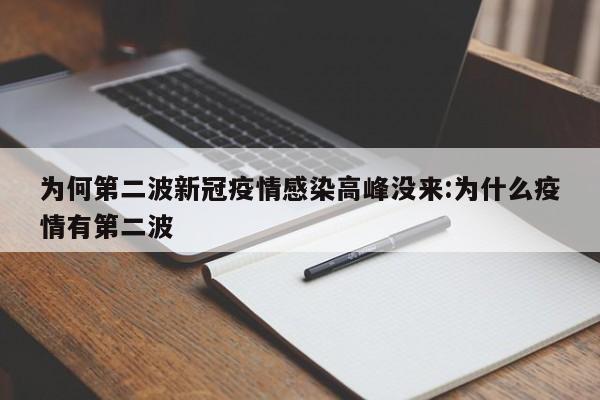 为何第二波新冠疫情感染高峰没来:为什么疫情有第二波