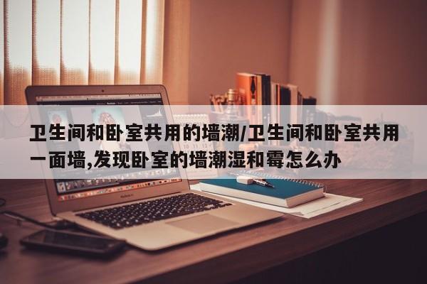 卫生间和卧室共用的墙潮/卫生间和卧室共用一面墙,发现卧室的墙潮湿和霉怎么办