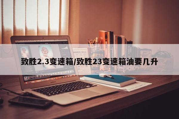致胜2.3变速箱/致胜23变速箱油要几升