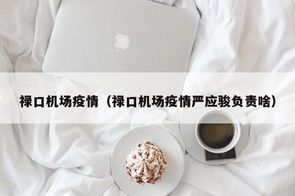 禄口机场疫情（禄口机场疫情严应骏负责啥）