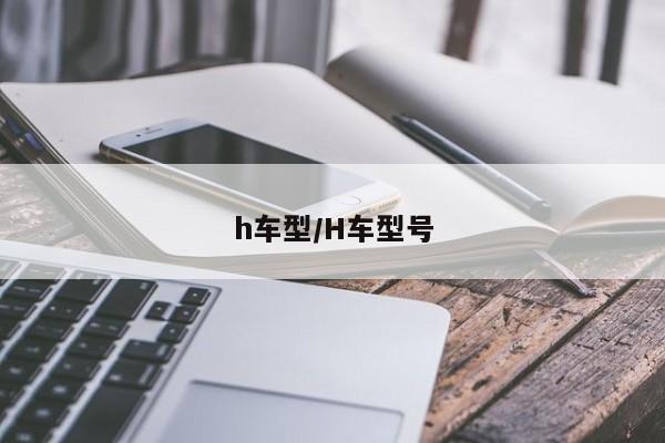 h车型/H车型号