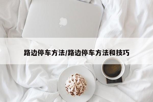 路边停车方法/路边停车方法和技巧